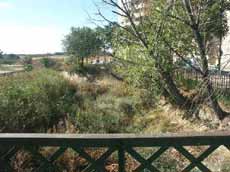 Fotograf�a de la colonizaci�n del fondo del cauce del canal por especies vegetales.