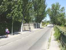 Fotograf�a del aspecto del paseo Infantes de Espa�a con su arbolado y la barandilla existente de tipo municipal.