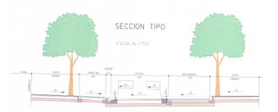 Plano que muestra la secci�n de los �rboles que se colocar�n en ambos paseos con la distancia existente entre �rboles, aceras y carriles.