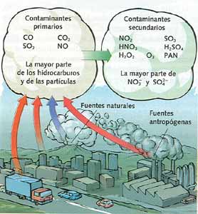 contaminantes