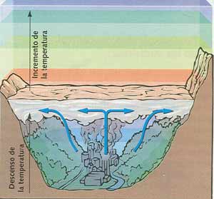 efectos de los contaminantes