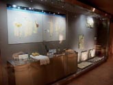 Vitrina del Museo