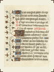 P�gina ciento cuatro del Salterio, manuscrito (circa 1500). Letra g�tica con  iniciales en oro y color y  elementos vegetales al margen. Colecci�n de manuscritos de la Biblioteca del Ayuntamiento de Zaragoza (Palacio de Montemuzo). Signatura MS 20