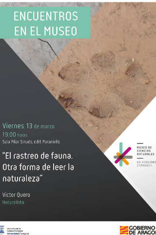 Encuentros en el Museo: El rastreo de fauna. Otra forma de leer la naturaleza