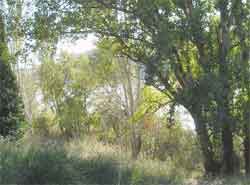 Situaci�n actual del sector del Balc�n de San L�zaro