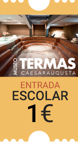 Museo de las Termas Públicas de Caesaraugusta. Entrada grupos formativos: 1 euro