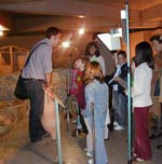 Actividades en Museo del Foro