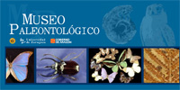P�gina inicial de informaci�n del museo