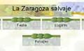 Web sobre ecolog�a y medio ambiente en Zaragoza