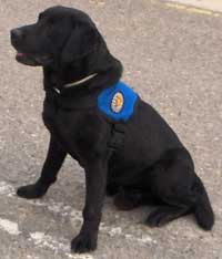 Unidad Canina: Chester