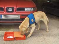 Unidad Canina: Nurka