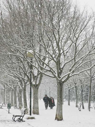 POSTAL DE NAVIDAD