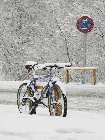 POSTAL DE NAVIDAD