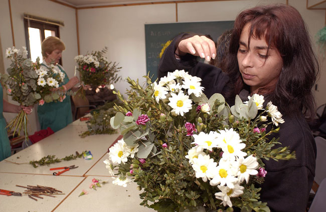 Imagen ampliada de los talleres de Plantas Ornamentales