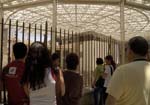 Visita guiada Teatro de Caesaraugusta