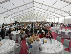 servicios para organizaciores