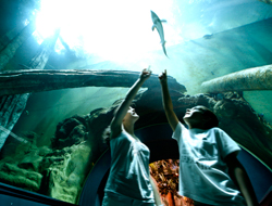 Acuario Fluvial
