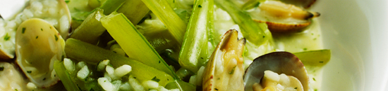 visitas gastronomicas