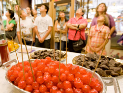 visita chocotour