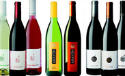 Grandes Vinos y Vinedos