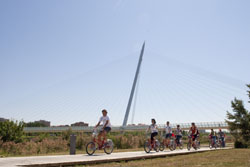 Bizitour