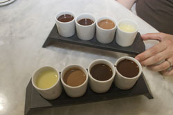 Chocotour