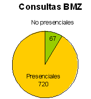 Gráfico de las consultas a la Biblioteca Municipal