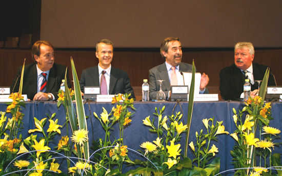 Mesa Redonda