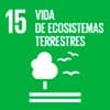 ODS: Vida de Ecosistemas terrestres