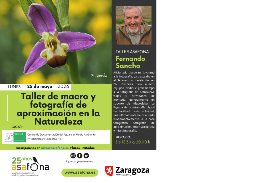 Imagen del evento