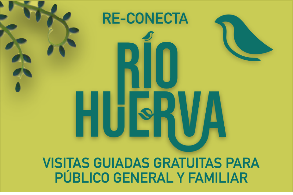 imagen de actividades