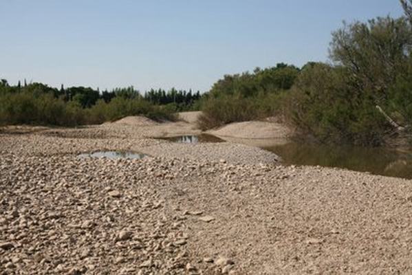 Un descampado en la ribera del río Ebro
