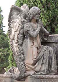 Pante?n de la familia Matute-Perez