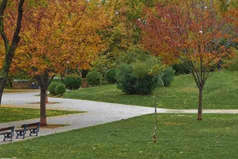 Imagen de Parque Bruil (Árbol de los Cuentos)