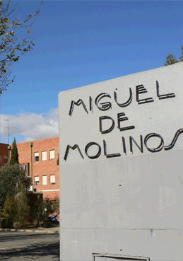 Imagen de Antena del Cipaj: IES Miguel de Molinos