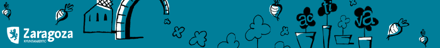 Ayuntamiento de Zaragoza