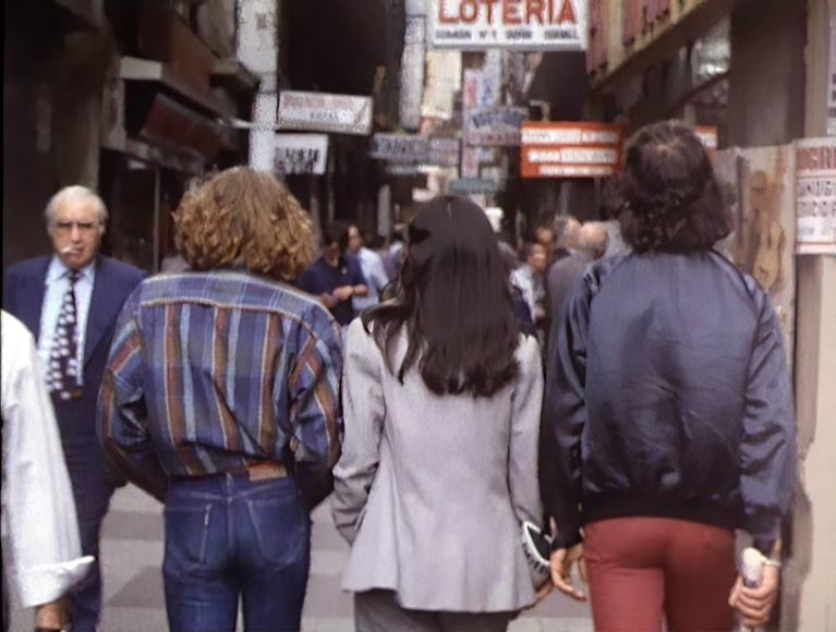 Perros callejeros II