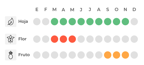 Calendario