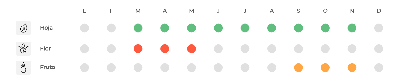 Calendario