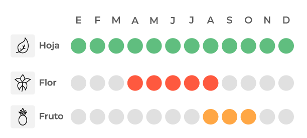 Calendario