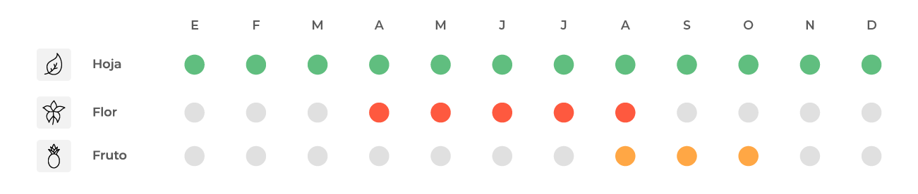 Calendario