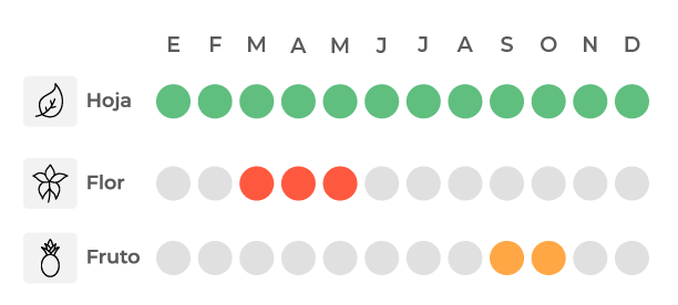 Calendario