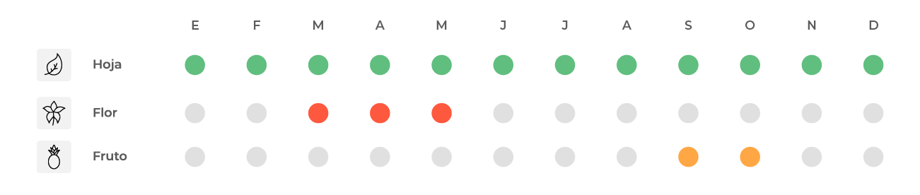 Calendario