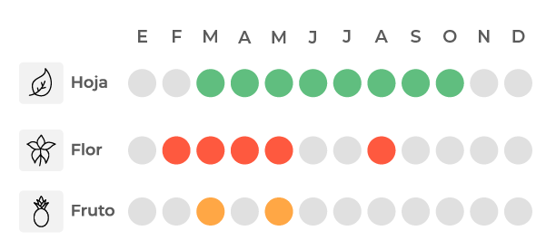Calendario