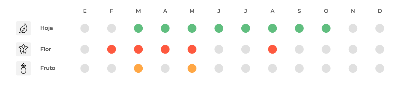 Calendario