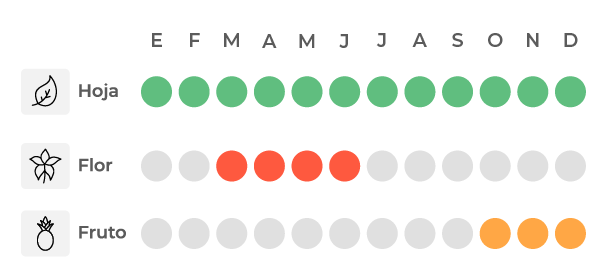Calendario