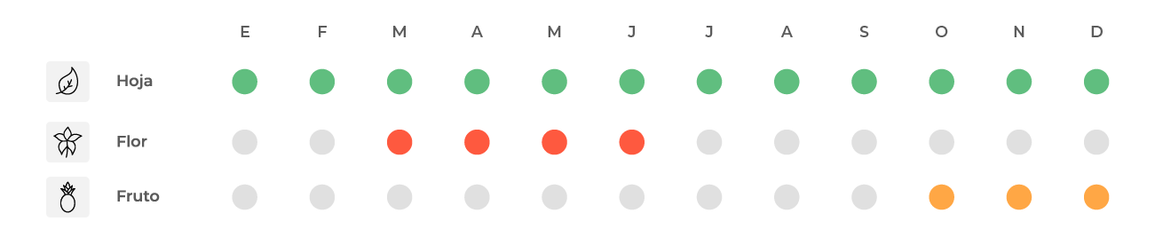 Calendario