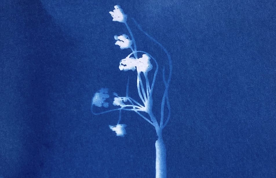 Taller de fotografía experimental