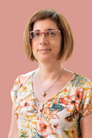 Galería de imágenes: 9 de 15