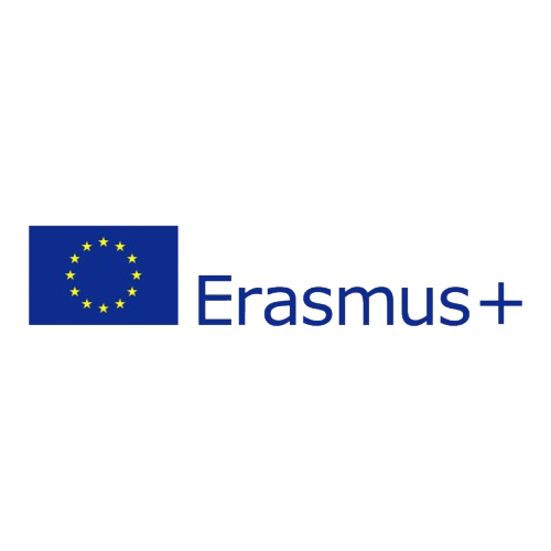 Logo Proyecto europeo dsstreet